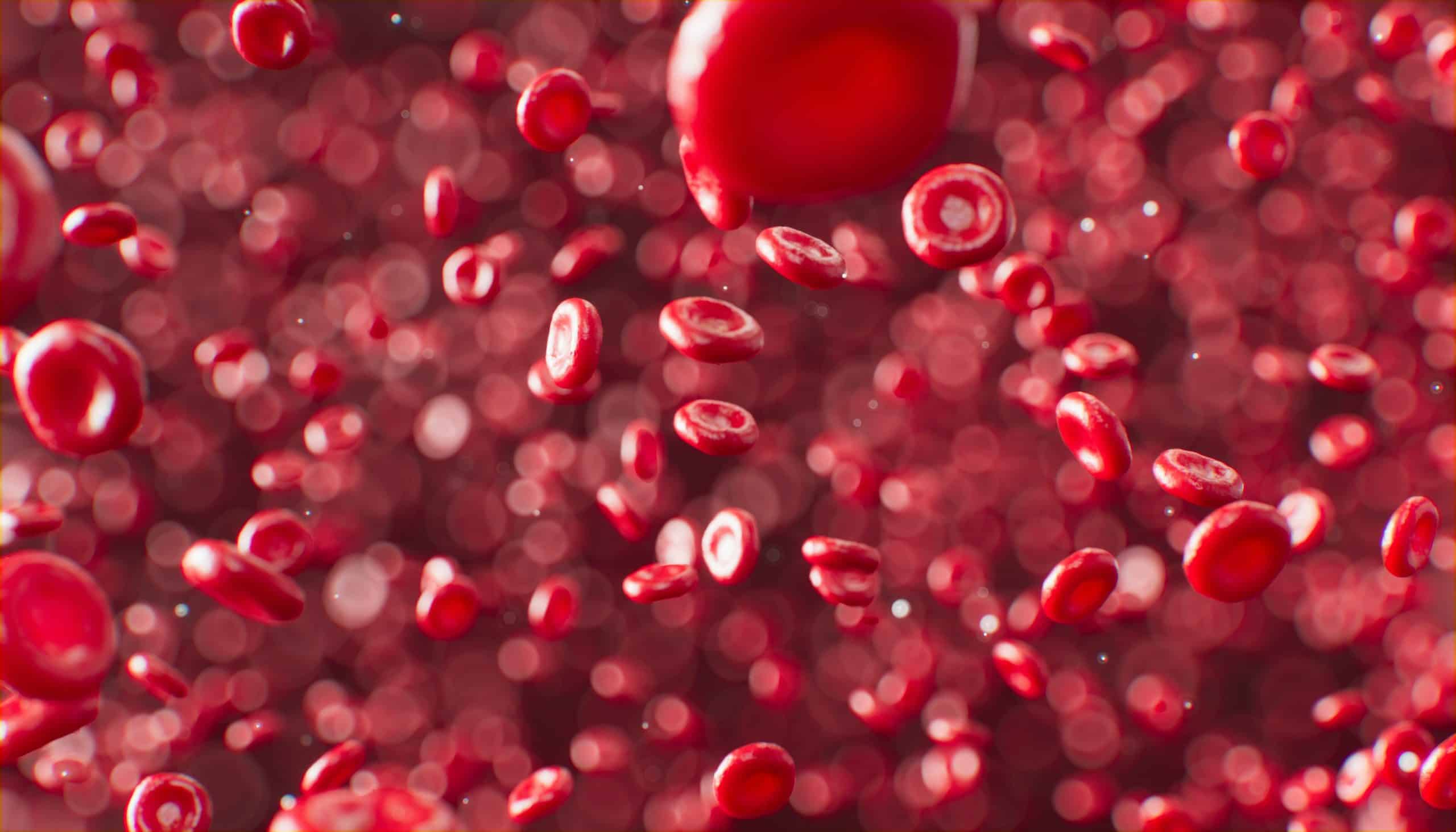 Lets’ Talk Health Goals: Anaemia Care